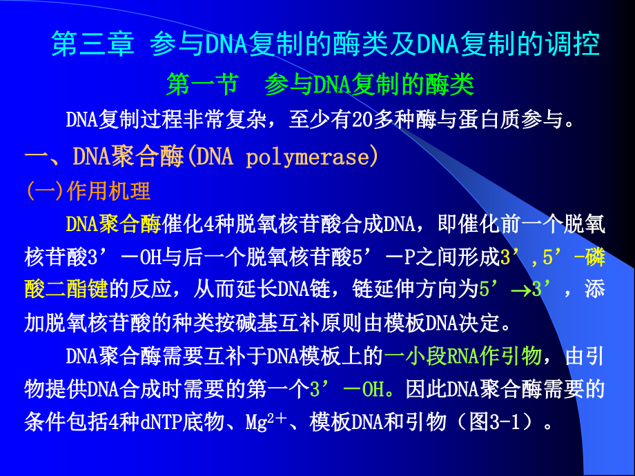 参与dna复制的酶类及dna复制的调控（论文资料）_第1页