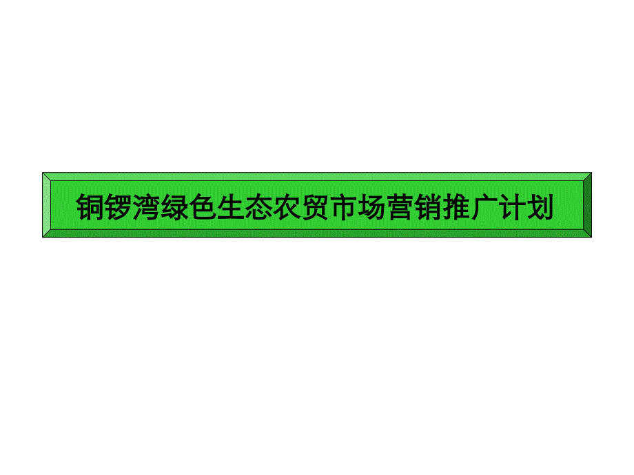 铜锣湾绿色食品贸易市场营销推广计划_第1页