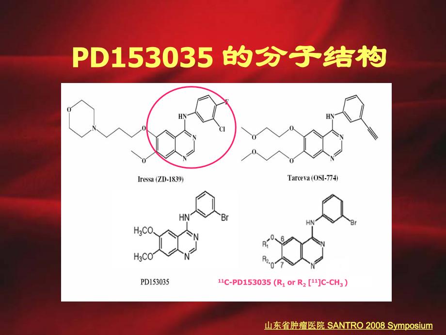 etct构建非小细胞肺癌患者egfr分子影像的初步研究要点_第4页