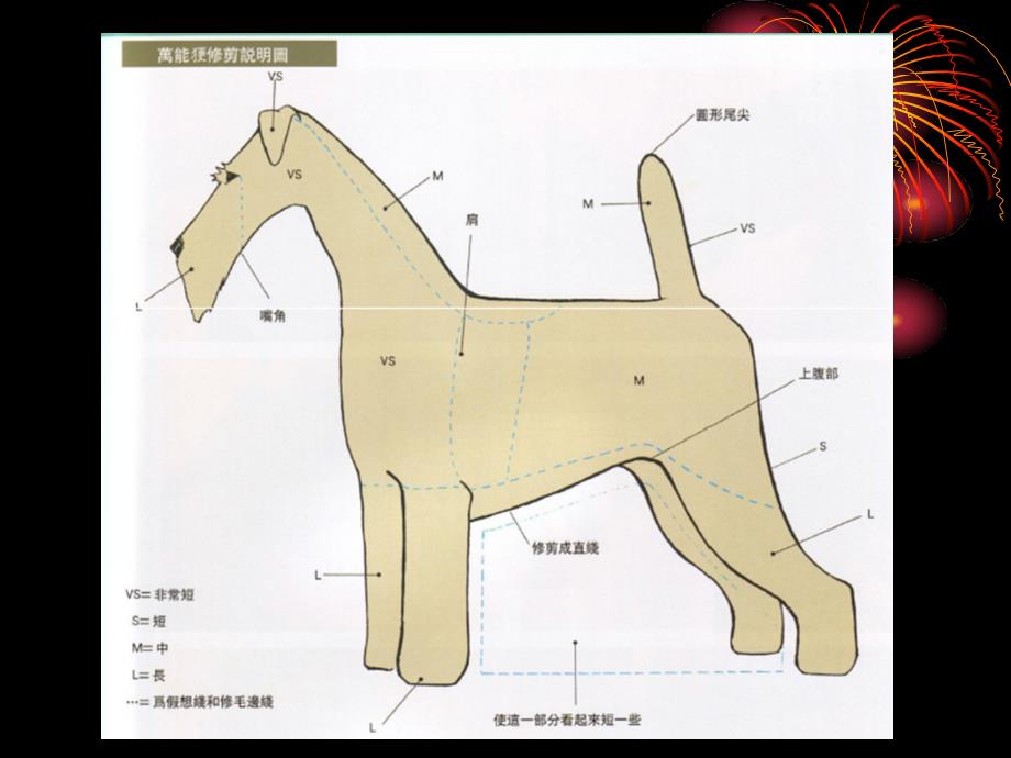 宠物养护与美容 第一章犬的生物学特点与分类_第4页