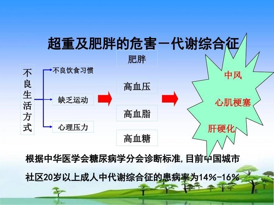 代谢综合征诊断_第5页