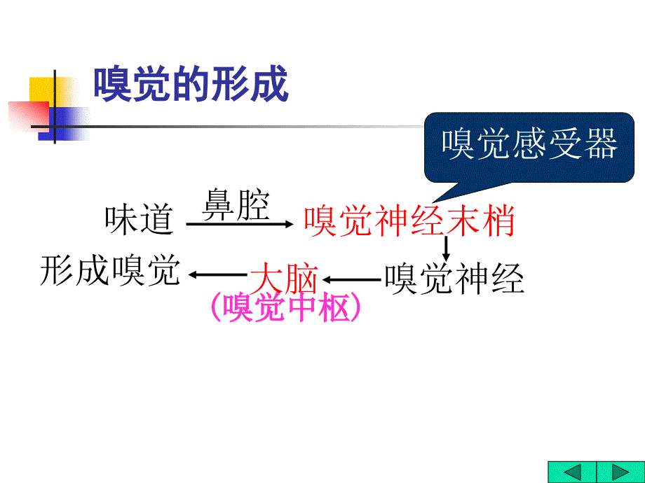 信息的获取和应用-ppt课件_第4页