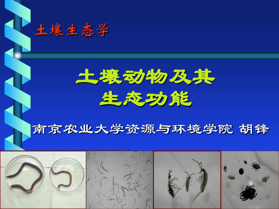 土壤生态学土壤动物及其生态功能_第1页