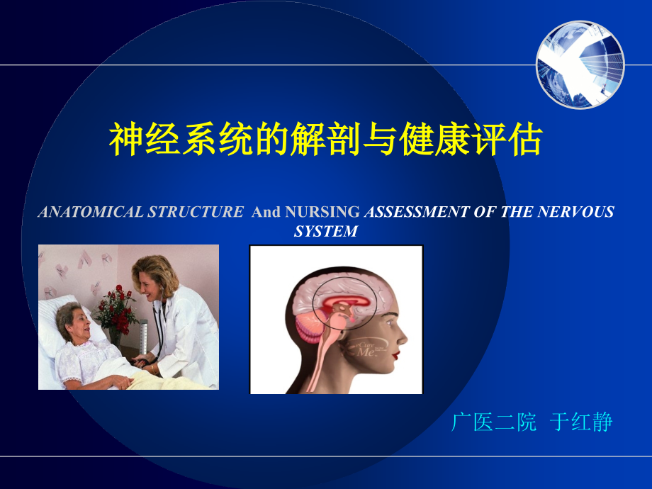 临床医学神经系统的解剖与评估_第1页