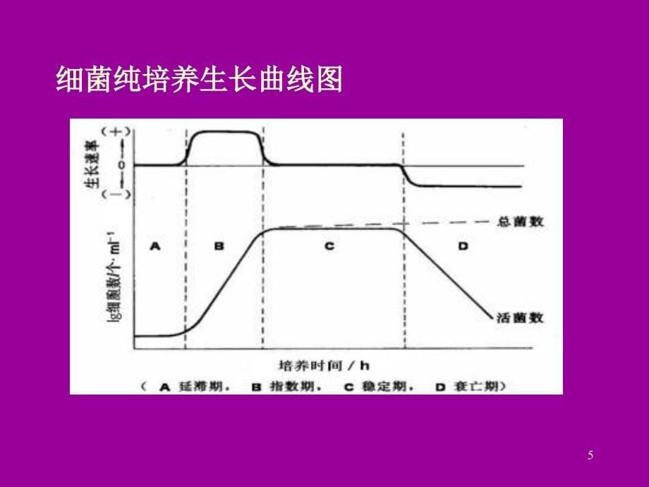 大学微生物复习--第5章生长和环境条_第5页