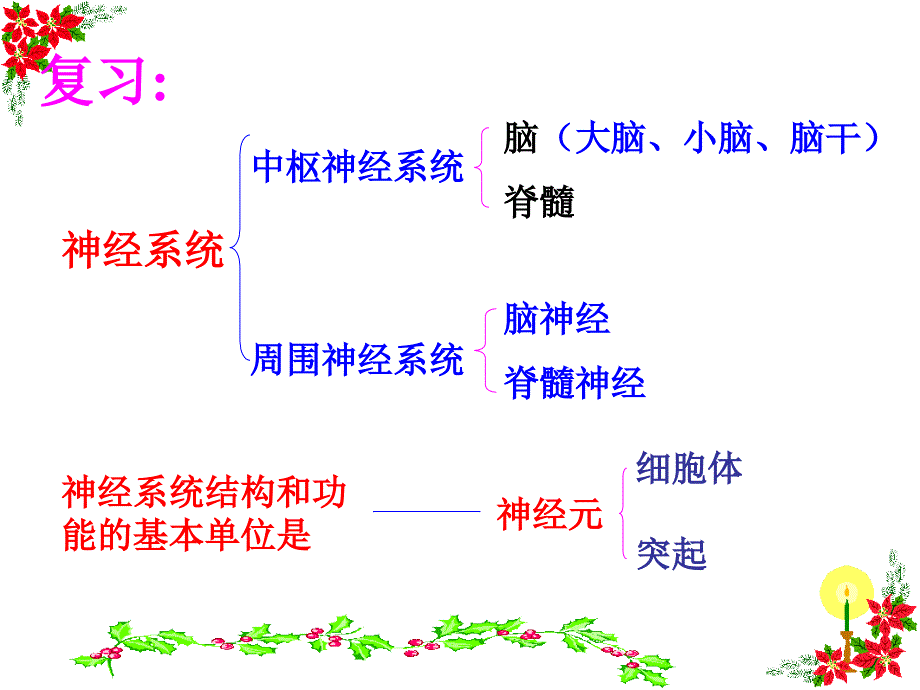 神经进行调节的基本方法_第3页