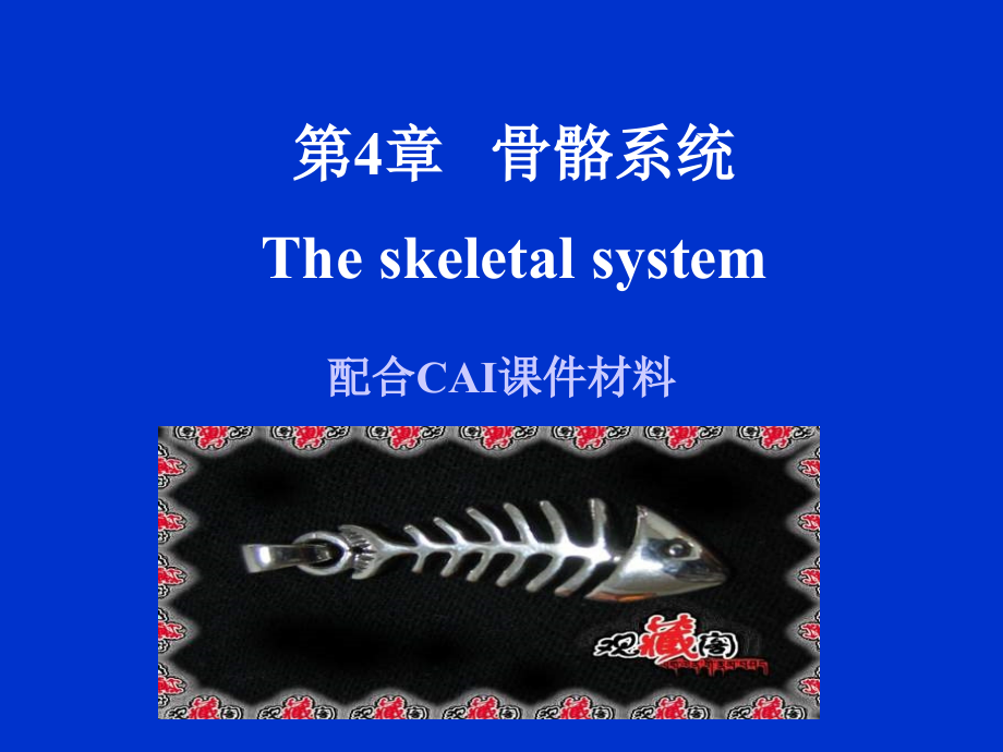 骨骼系统theskeletalsystem（3）-1_第1页