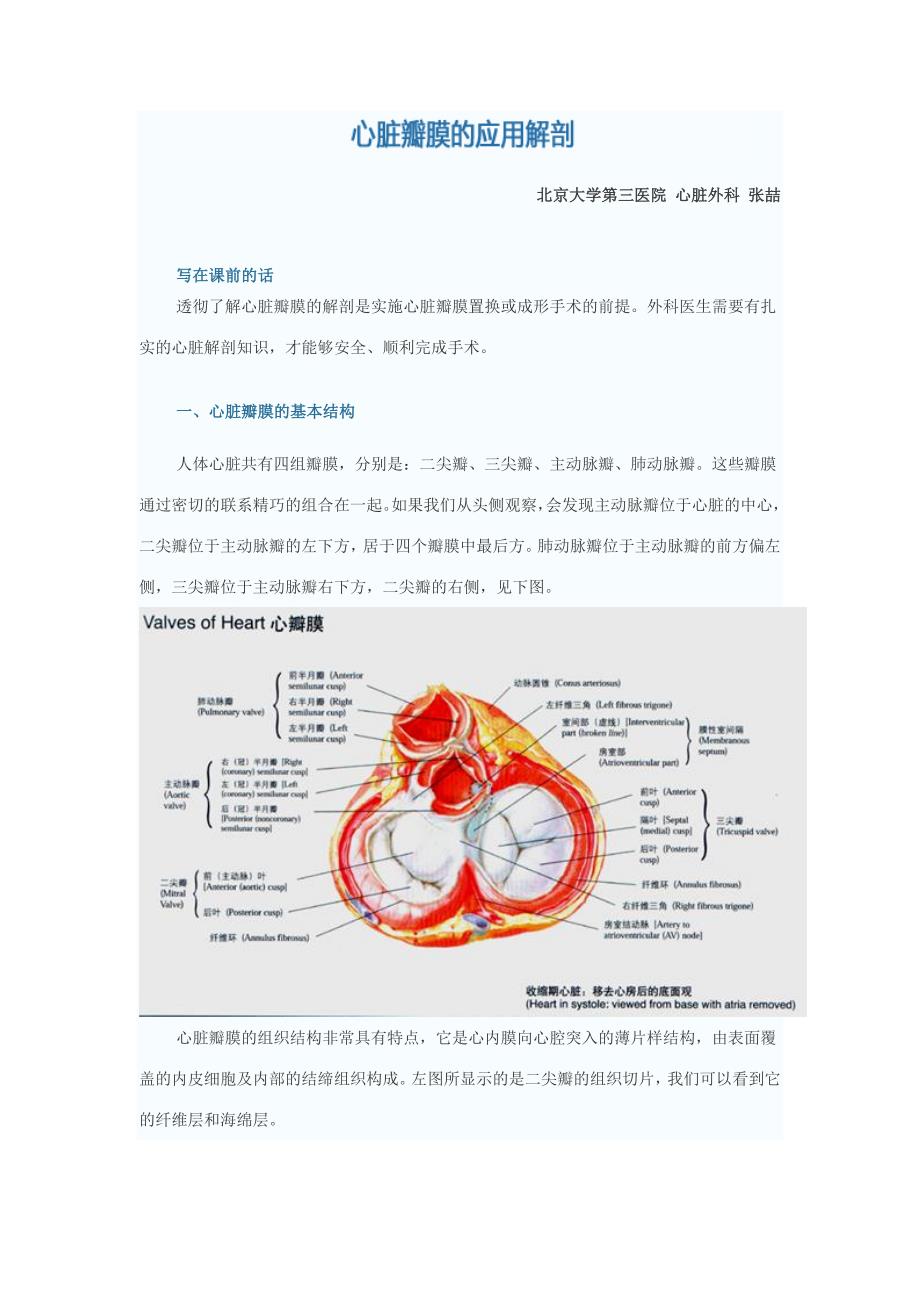 心脏瓣膜的应用解剖_第1页