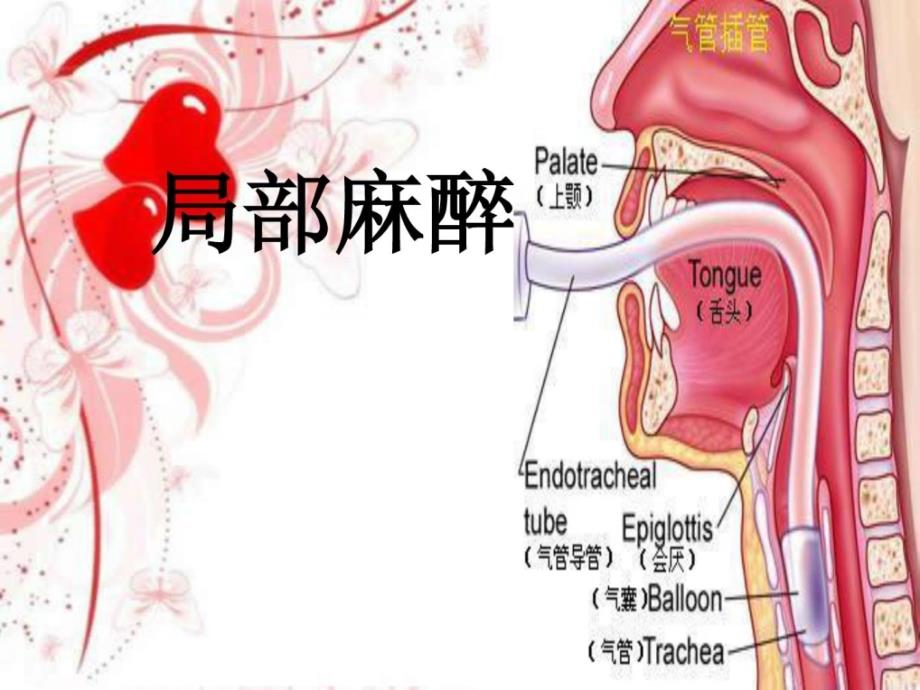 部分麻醉护理指南_第1页