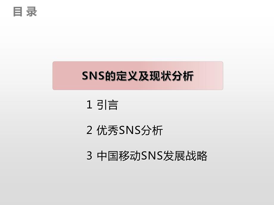 2010产品分析报告蔡文虎_第3页