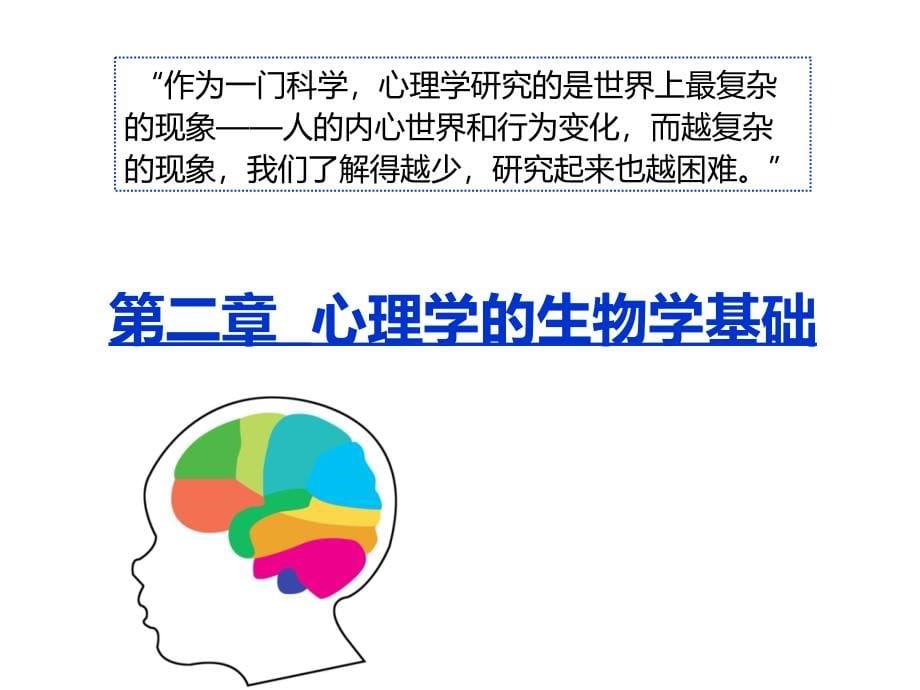 心理学的生物学基础_第5页