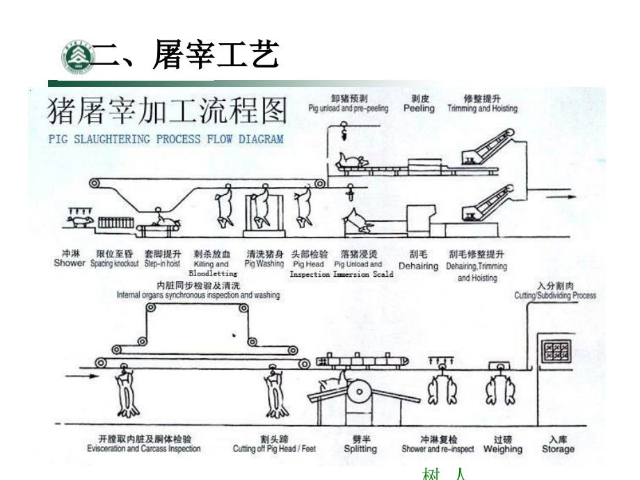 畜禽屠宰及屠宰后肉变化_第4页