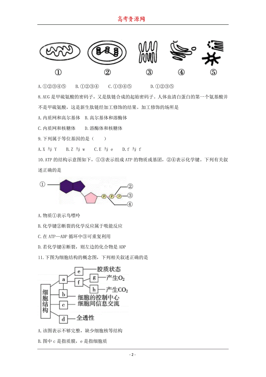 浙江省温州新力量联盟2017-2018学年高一下学期期末考试生物---精校Word版含答案_第2页