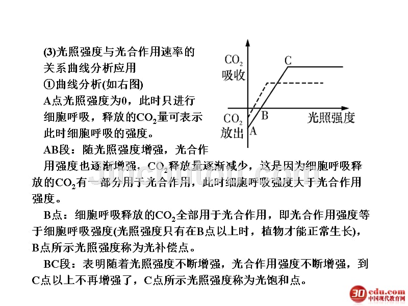 2013高考一轮复习必修14.19影响光合作用的因素及光合作用原理的应用_第5页