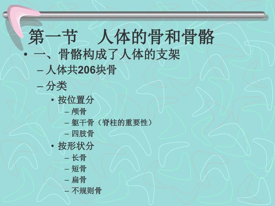 科学》课程教学辅导 第六章 骨骼肌肉与运动_第3页