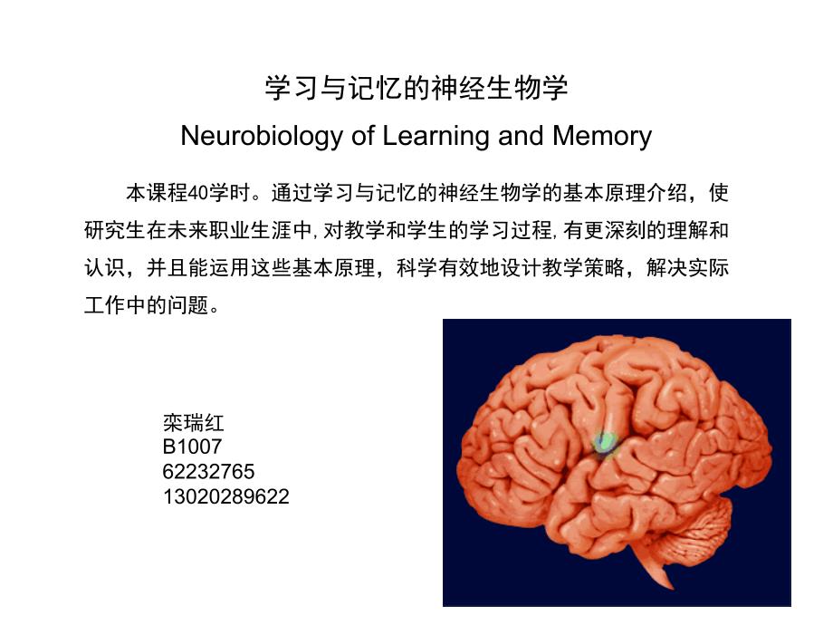 学习与记忆概述_第1页