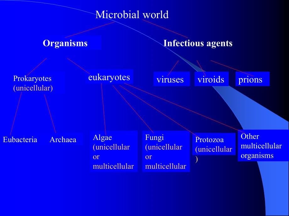 微生物学绪论introdu_第5页