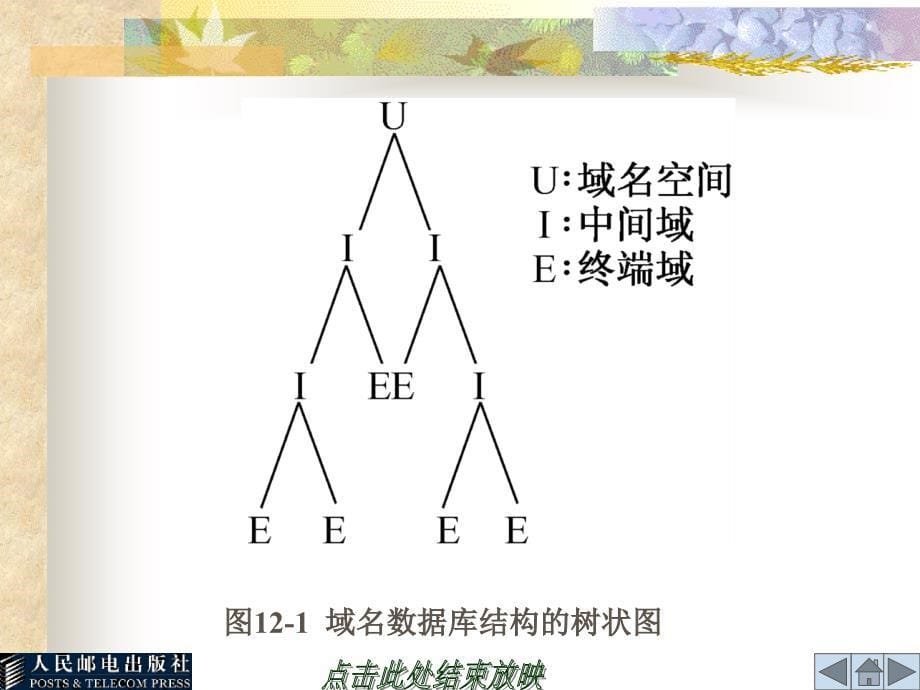 实验12   dns服务器的配置_第5页