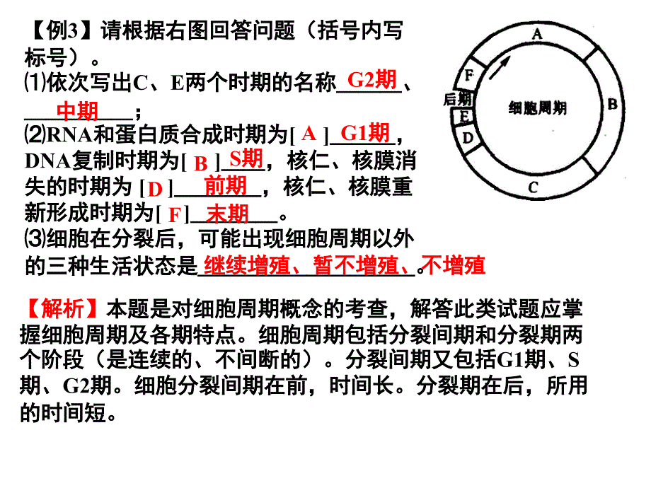 届高三生物二轮复习题型分析专项06 细胞的生命历程_第4页