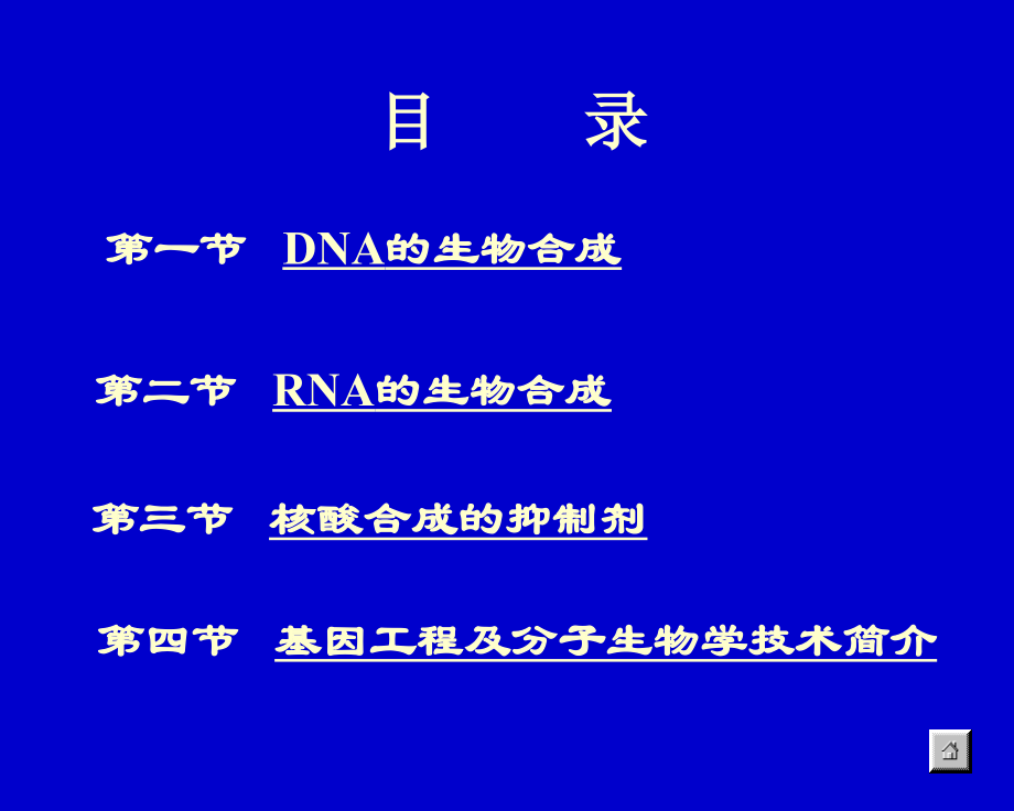 核酸的生物合成(ok)_第3页