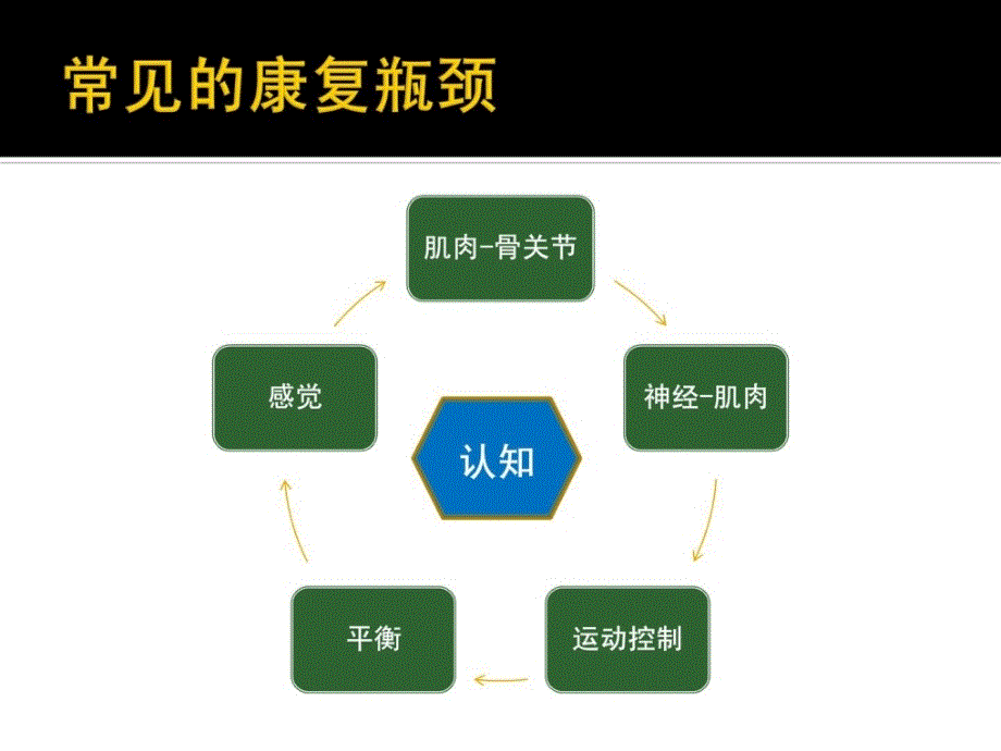 精品运动功效重塑与康复机械人-励建安_第3页