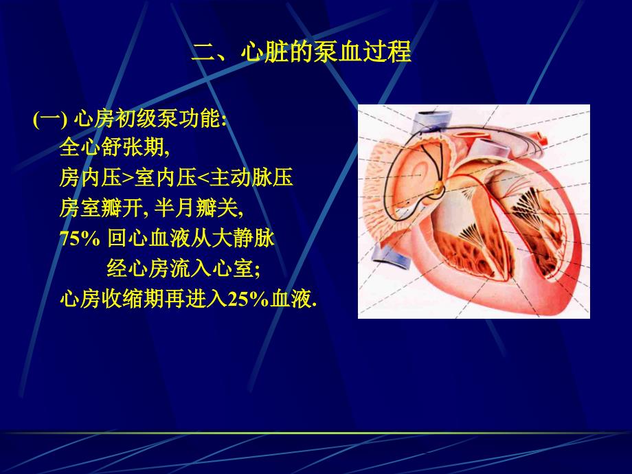 部分血液循环（精品ppt）_第4页