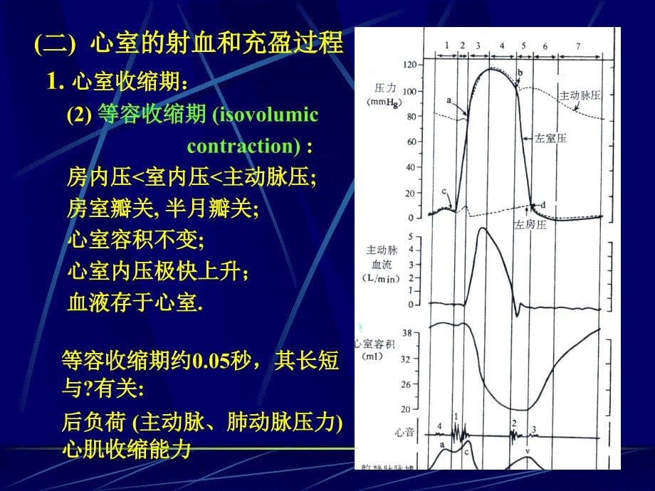 部分血液循环（精品ppt）_第5页