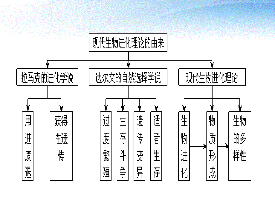 2012高三生物3年高考2年模拟17讲生物进化_第2页