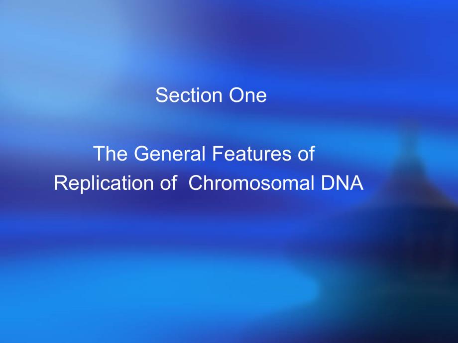 dna的生物合成和损伤修复dna biosynthesis and dna damage repa_第2页