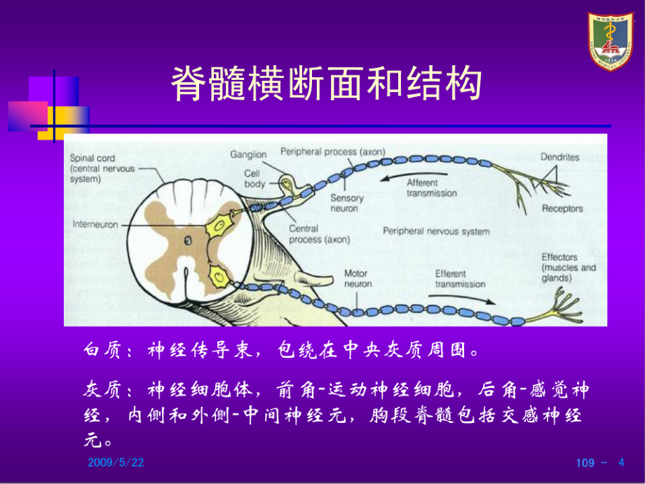 脊髓损伤的康复-1_第4页