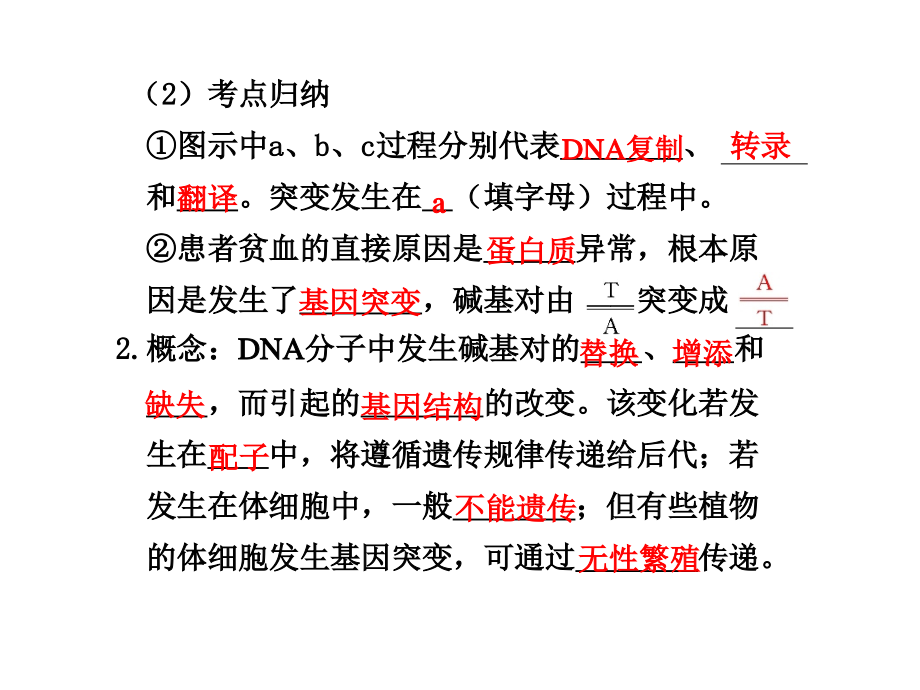 苏教版教学课件必修2第四章第4讲基因突变和基因重组(91p)_第3页