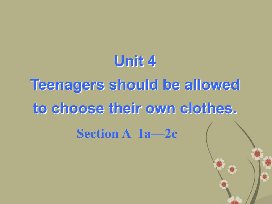 山东省济宁市任城区济东中学九年级英语全册《unit 3 teenagers should be allowed to choose their own clothes section a 1a-2c》课件 人教新目标版_第1页