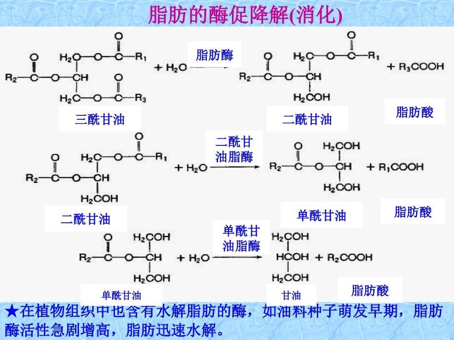 生物学]考研农学联考复习动物生理生化科目解题指导_第5页