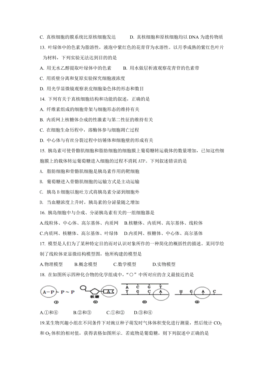 山东省2019届高三上学期期中考试生物---精校 Word版含答案_第3页