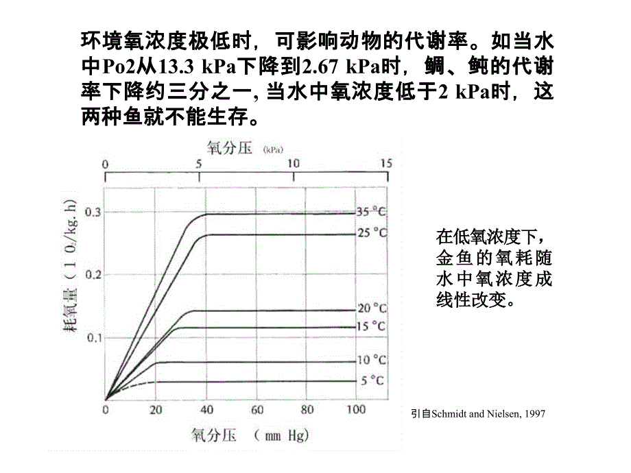 生物与大气的关系_第4页