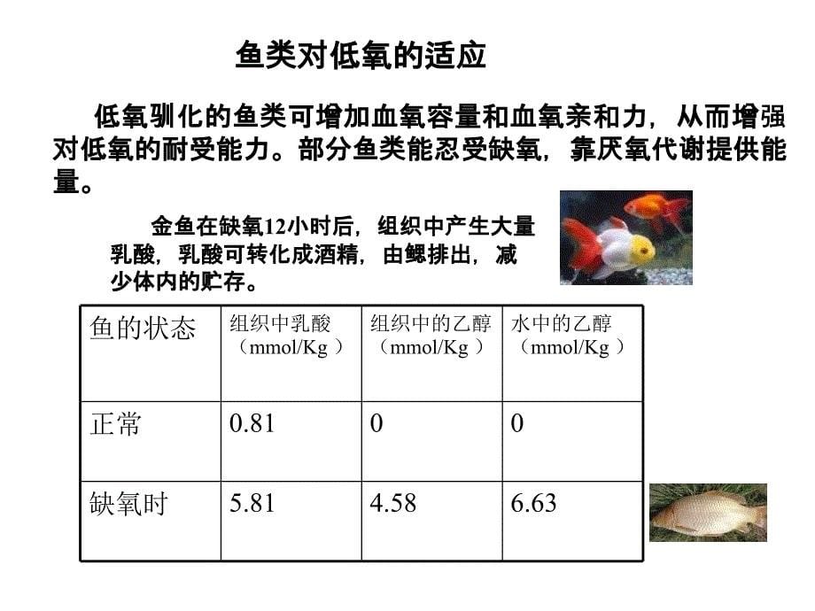 生物与大气的关系_第5页