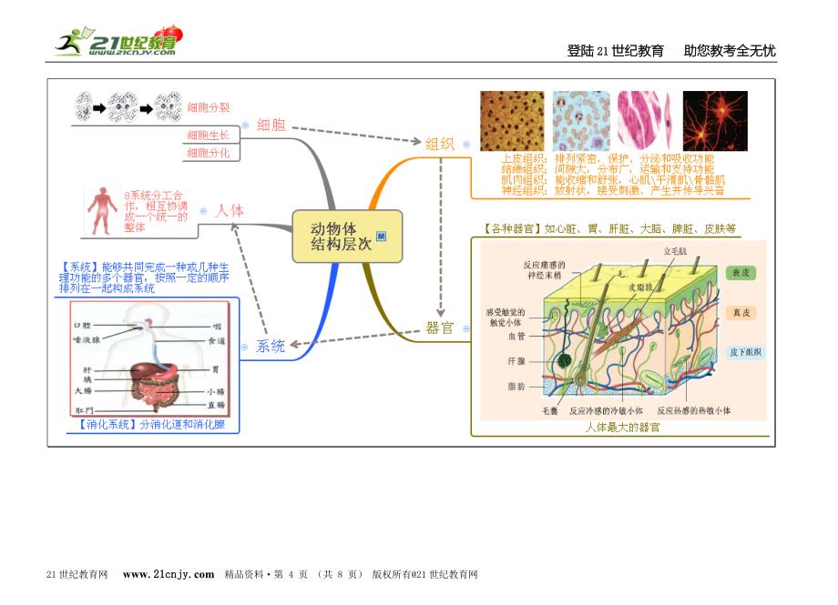 上科学第2章-观察生物思维导图_第4页