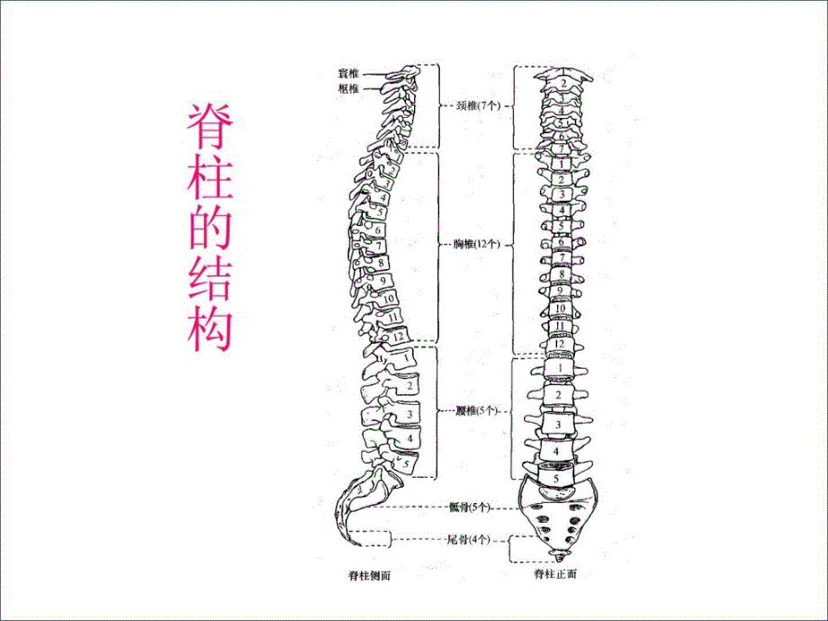 脊髓毁伤的康复评定精品_第3页