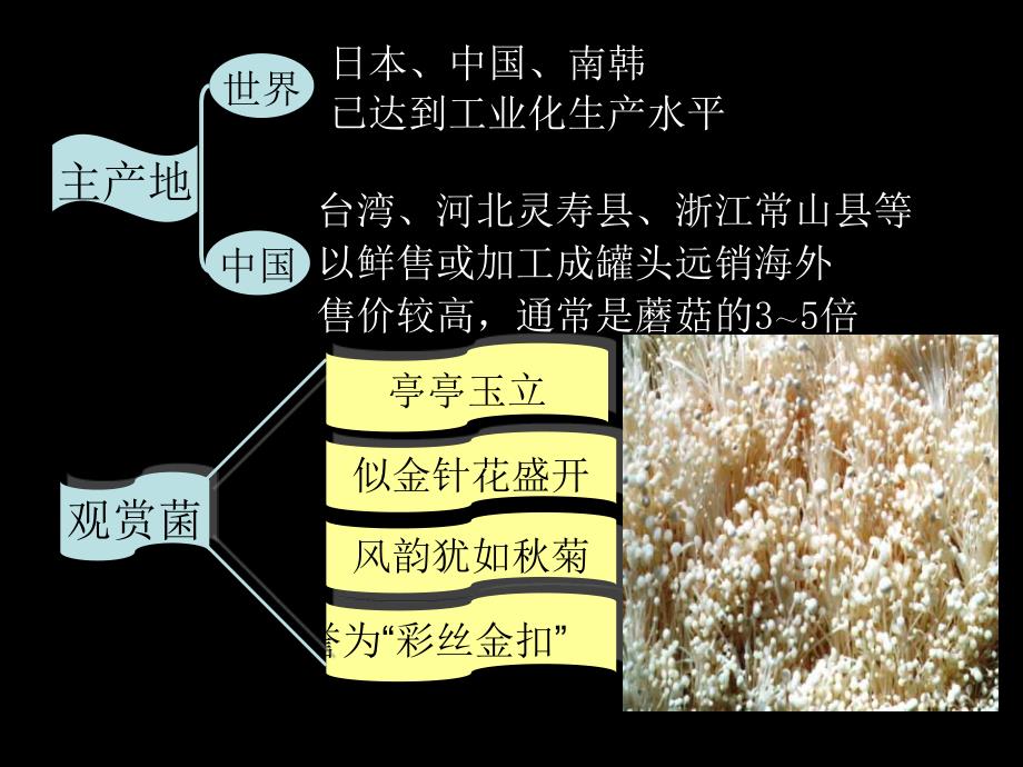 食用菌金针菇栽培_第4页