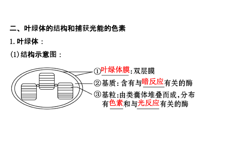 高考中图版生物大一轮复习（课件）：必修1 第三单元 细胞的新陈代谢光能的捕获与利用_第4页