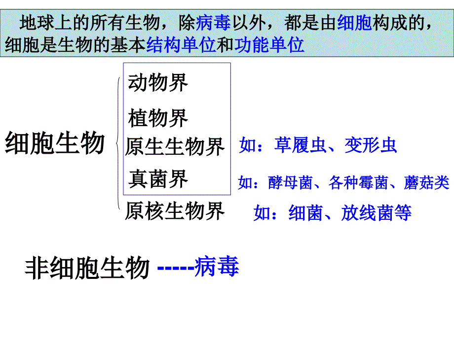 2012年高考生物总复习--病毒_第2页