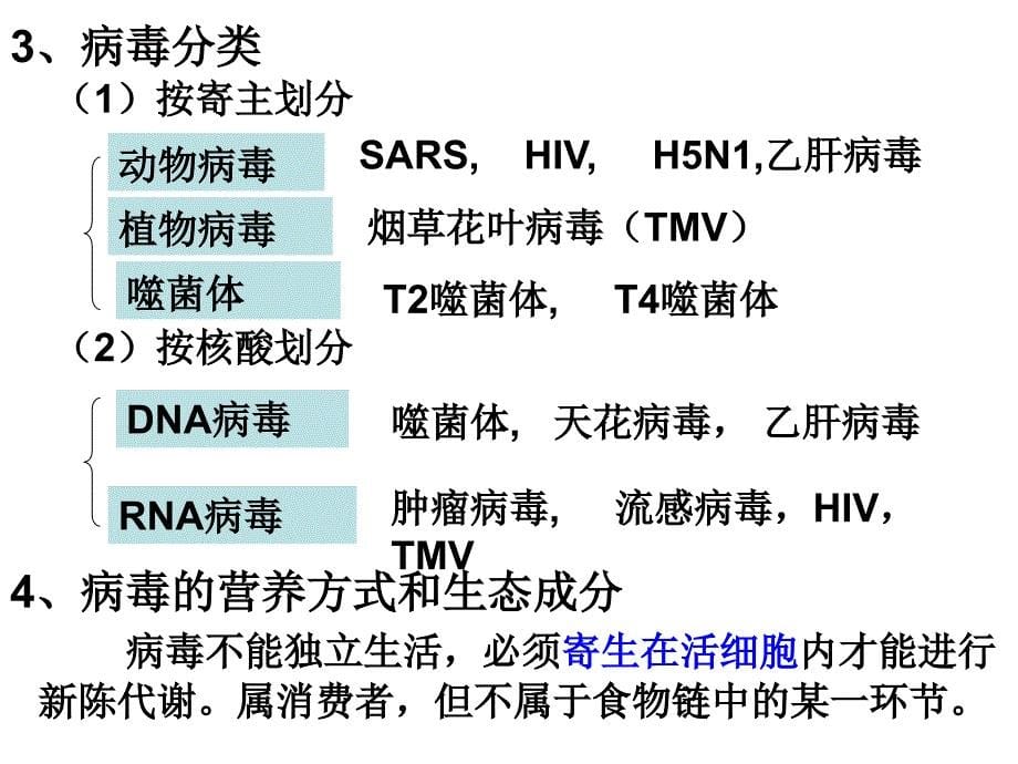 2012年高考生物总复习--病毒_第5页