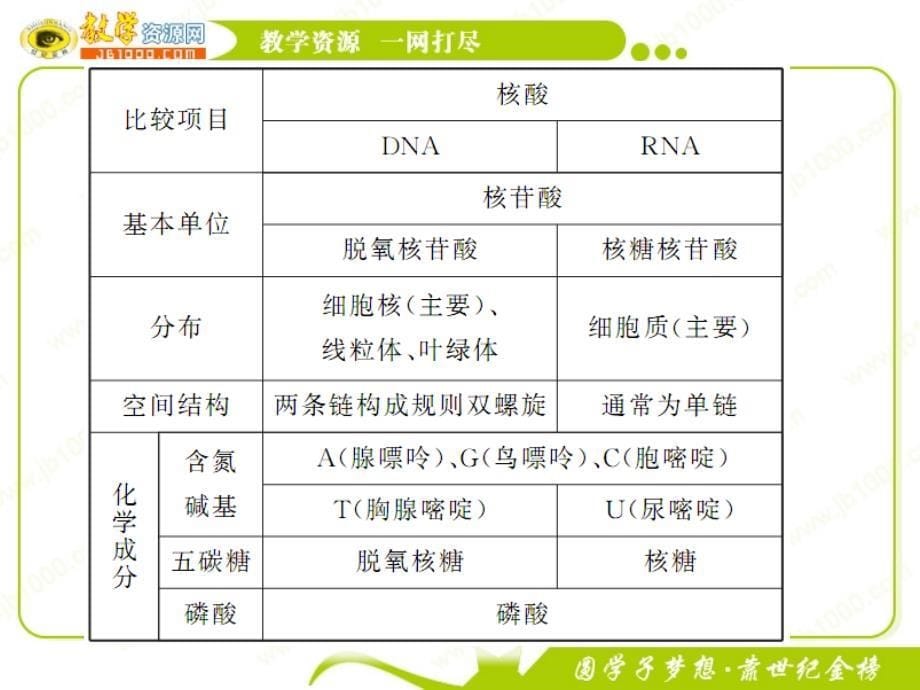 届高考生物一轮复习课件：第4讲遗传信息的携带者——核酸（观察类实验材料的选取与处理）（人教版必修1）（湖南用）_第5页