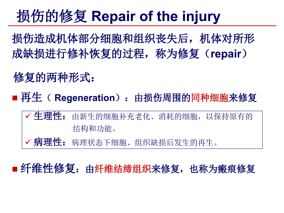 科联考-病理学-损伤的修复cha_第3页