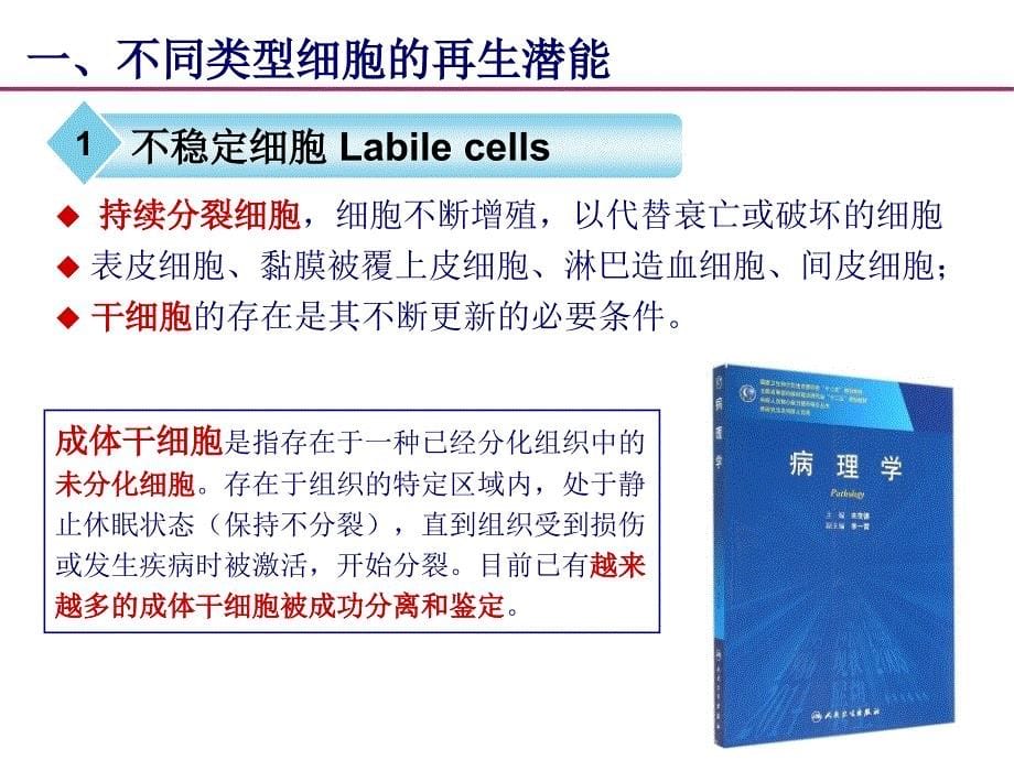 科联考-病理学-损伤的修复cha_第5页