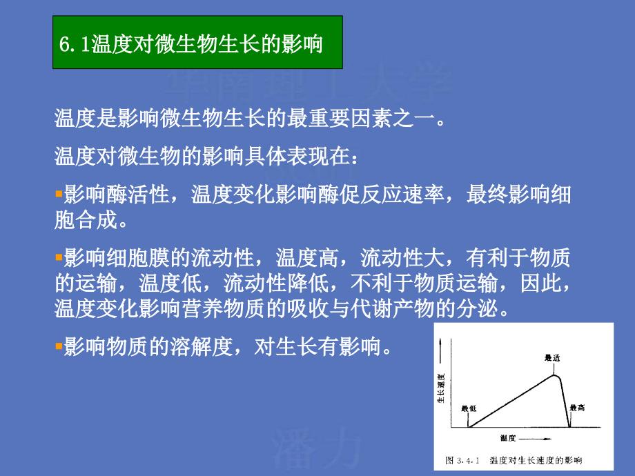 微生物的生长繁殖及其控制_第2页