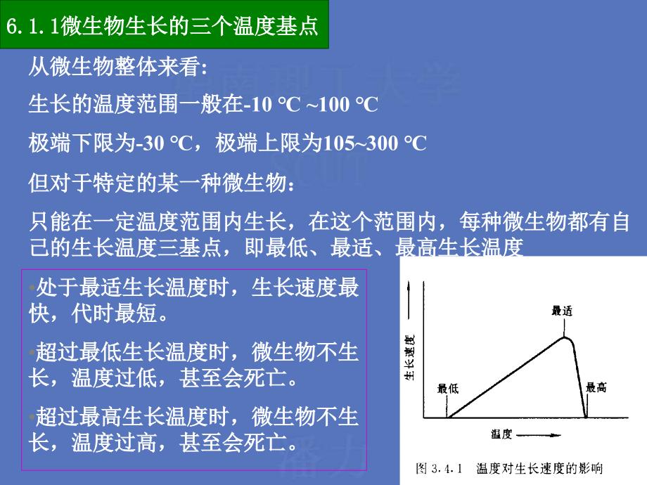 微生物的生长繁殖及其控制_第3页