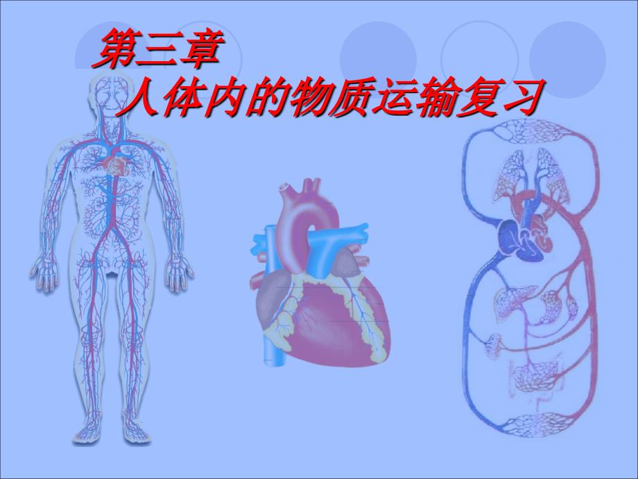 《人体内的物质运输》复习_第1页