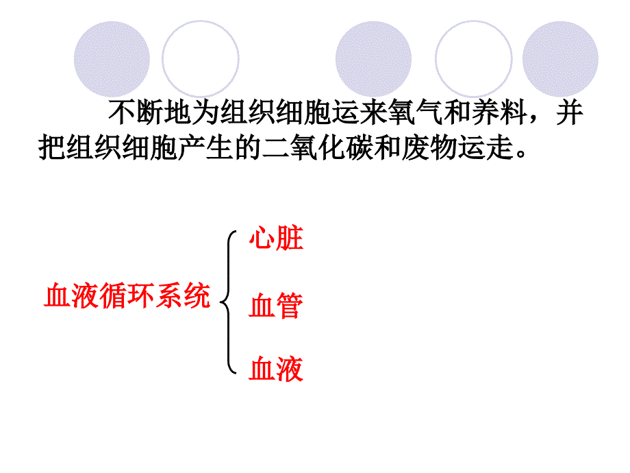 《人体内的物质运输》复习_第2页