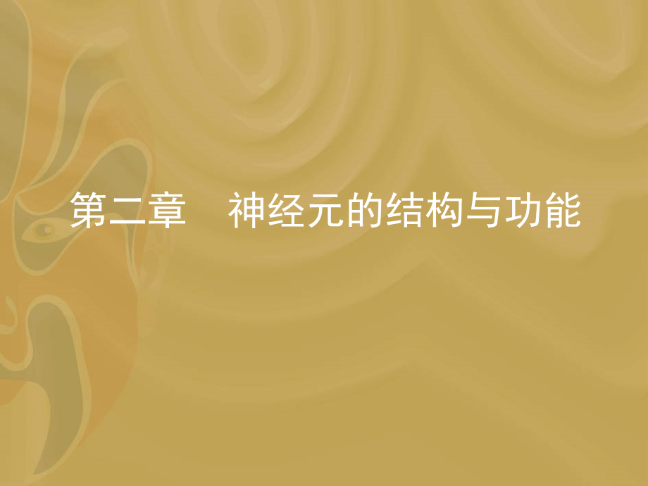 神经元的结构与功能_第1页
